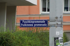 DSC0429