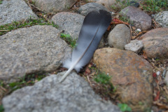 DSC0658