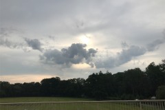 IMG_3584