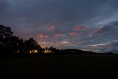 DSC5384