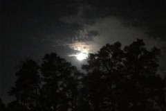 IMG_4132