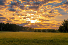 RX71452-dng_DxO_DeepPRIME