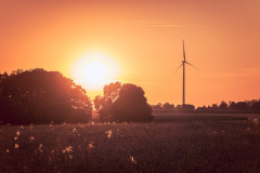 RX71875-dng_DxO_DeepPRIME