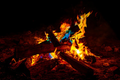 RX72029-dng_DxO_DeepPRIME