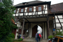 DSC4800