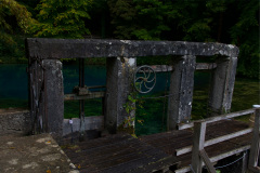 DSC4806