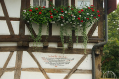 DSC4849