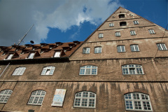 DSC4988