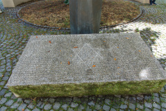 DSC4993