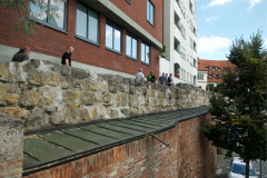DSC5003