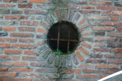 DSC5019