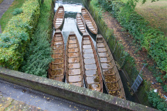 DSC5058