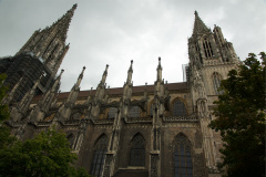 DSC5077