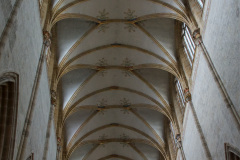 DSC5087